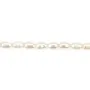 Perle de culture d'eau douce, blanche, olive, 4-4.5mm x 36cm