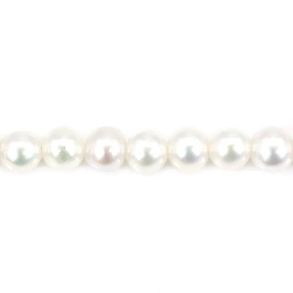 Pérola cultivada de água doce, branca, redonda, 3 mm x 39 cm