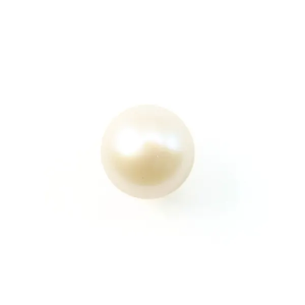 Pérolas cultivadas de água doce, semi-perfuradas, brancas, semi-redondas, 5.5-6mm x 1pc
