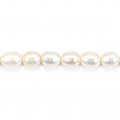 White oval freshwater pearls  6-7mm x 40cm