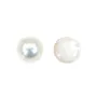 Perle de culture de mer du sud, blanche, Mabé 14.5-15mm x 1pc