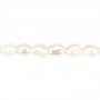 White oval freshwater pearls 7x9mm x 10pcs
