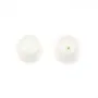 Bénitier, semi-percé d'un côté, ronde 10mm x 1pc