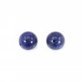 Sodalite, half drilled, round 6mm x 4pcs