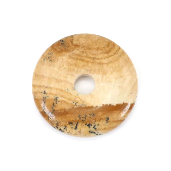 Dount jaspe paysage 30mmx6mmx4.8mm