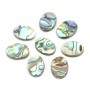 Abalone shell oval 8x10mm x 6 pcs