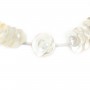 Necklace small white mother of pearl 
