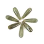 Labradorite goutte semi percé 7x23mm x 1pc