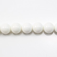 Clam Round 6mm x 20 pcs