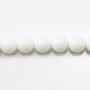 Clam Round 6mm x 20 pcs