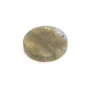 Cabujón redondo plano de Labradorita 20mm x 1ud