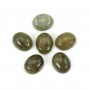 Cabochon labradorite ovale 8x10mm x 2pcs