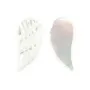 Nacre Blanche en forme d'aile 10x22mm x 1pc