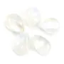 Pierre de lune goutte plate facette x 2pcs