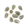 Labradorite goutte facette 5x8mm x 40cm