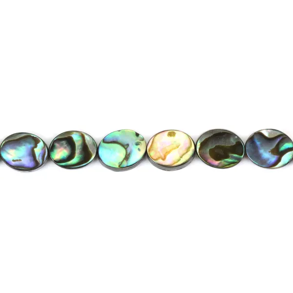 Nacre Abalone ovale 8x10mm x 40cm