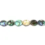 Nacre Abalone ovale 8x10mm x 40cm