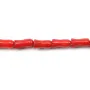 Bambou de mer teinte rouge tulips 4x8mm 