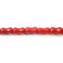 Bamboo mer teinte rouge Bobine