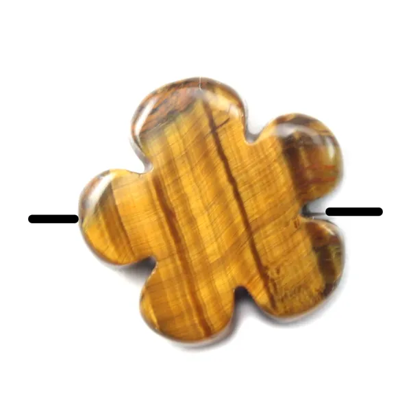 Oeil de tigre en fleur 20mm x 2 st