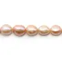 Perles de culture d'eau douce, multicolore, baroque,  8-9mm x 40cm