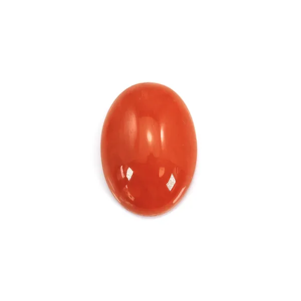 Cabochon Corail rouge Naturel ovale 10x14mm x 1pc