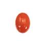 Cabochon di corallo rosso naturale ovale 4x6mm x 1pc