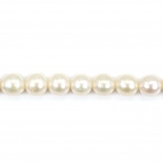 White oval freshwater pearls on thread 6-7mm x 40cm