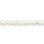 Perle de culture d'eau douce blanche, de forme ovale 3.5 * 5mm x 39cm