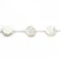 Nacre blanche Rose 15mm x 41 cm (15pcs)