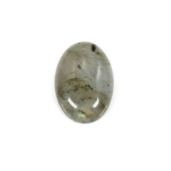 Cabochon oval labradorite 13x18mm x 1pc