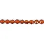 Hessonite redonda facetada 3mm x 39cm