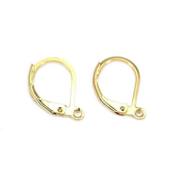 Orecchini Dormeuse 10x16 mm - Acciaio inossidabile 304 placcato oro x 2 pezzi