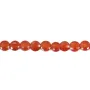 Agate rouge rond plat facetté 4mm x 40cm