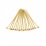 Clous tête boule 35x0.6mm - Acier Inox 304 doré x 10pcs