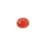 Cabochon cornaline ronde facette 6mm x 2pcs