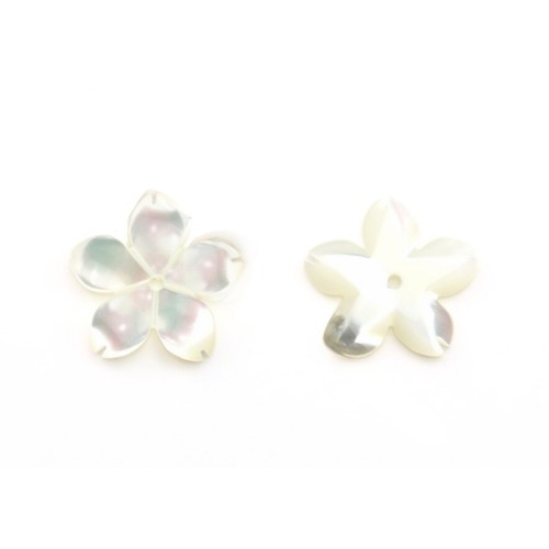 blanc Shell of 5 Y Leaves Flower 12mm x 1pc