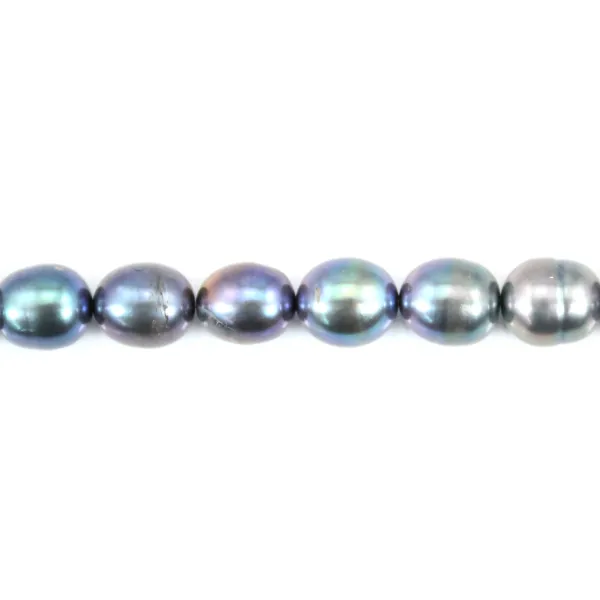 Perle de culture d'eau douce, bleu, olive, 8-9mm x 36cm