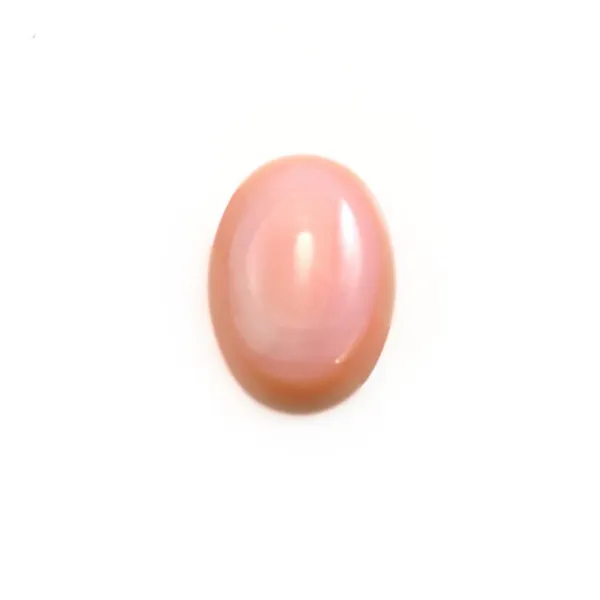 Lambi ovale cabochon 8x10mm x 1pc