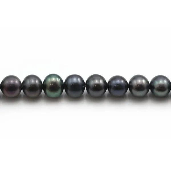 Perles de culture d'eau douce, bleu foncé, ronde, 6-7mm x 40cm