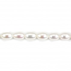 White ovale-shape freshwater pearls 9-13mm x 1pc