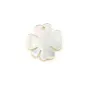 Nacre blanche en forme de trèfle à 4 feuilles 10mm x 1pc