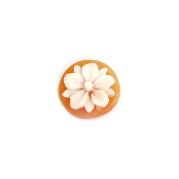 Cabochon Cameo Corniola Conchiglia fiore rotondo 14mm x 1pc
