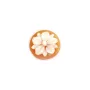 Cabochão Cameo Carnelian Conch flor redonda 14mm x 1pc