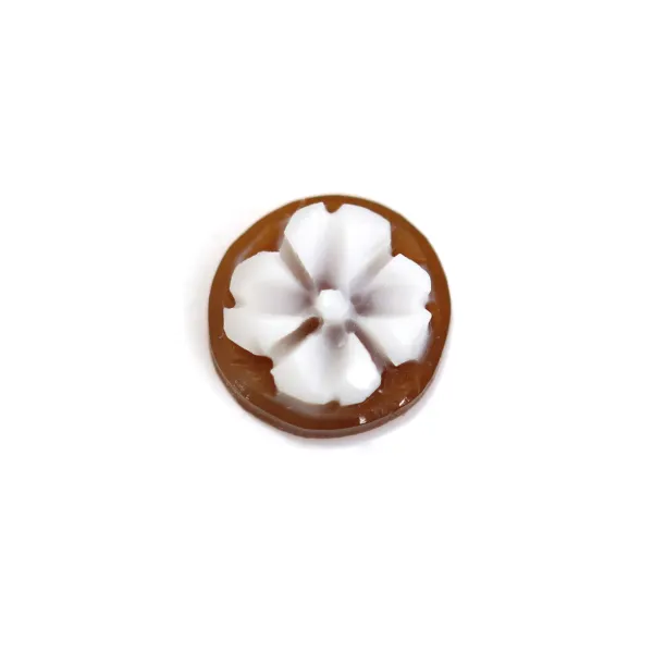 Cabochão Cameo Conch sardoine flor redonda 8mm x 1pc