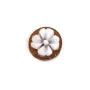Cabochão Cameo Conch sardoine flor redonda 8mm x 1pc