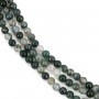 Ágata musgo redonda 6,5 mm x 39 cm