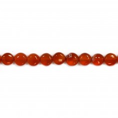 Cornelian Flat Round 8mm x 5 pcs