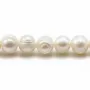 Perles de culture d'eau douce, blanche, ovale/irrégulière, 6-8mm x 36cm
