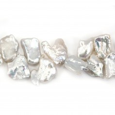 Bleu & violet Freshwater Pearl keshi 10.5x13.5mm x 1pc
